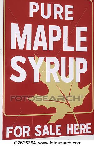 Maple Syrup, sign, VT, Vermont, A red and white maple syrup for sale sign View Large Photo Image Picture - Maple Syrup, sign, VT, Vermont, A red and white maple syrup for sale sign. Fotosearch