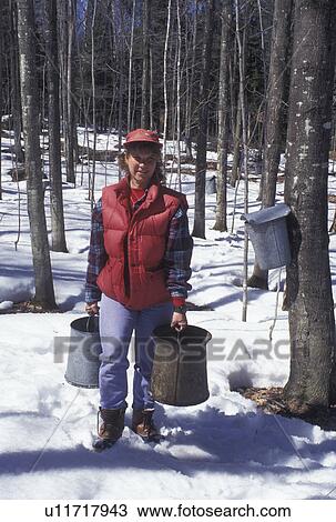 maple syrup, sugaring, Vermont, VT, Woman carrying two buckets of sap during sugaringtime on Carpenter Farm in Cabot in the snow in the early spring. View Large Photo Image Stock Image - maple syrup, sugaring, Vermont, VT, Woman carrying two buckets of sap during sugaringtime on Carpenter Farm in Cabot in the snow in the early spring.. Fotosearch