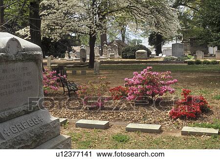 Stock Image -  Margaret Mitchell, Atlanta, Georgia, Margaret Mitchell's (author of the novel Gone with the Wind) gravesite at Oakland Cemetery in the spring in Atlanta the capital city in the state of Georgia. . Fotosearch