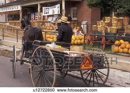 market, amish, horse carriage, Amish Country, Pennsylvania, Pennsylvania Dutch Country, Amish man on horse and open buggy drive by Zimmerman's Market in Intercourse in Lancaster County in the state of Pennsylvania. View Large Photo Image Stock Image - market, amish, horse carriage, Amish Country, Pennsylvania, Pennsylvania Dutch Country, Amish man on horse and open buggy drive by Zimmerman's Market in Intercourse in Lancaster County in the state of Pennsylvania.. Fotosearch