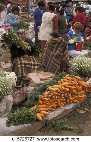 market, Chile, Temuco, Happy local woman selling fresh flowers at the market in Temuco in the South-Central Region (Land of Lakes and Volcanoes) in Chile. View Large Photo Image Stock Photo - market, Chile, Temuco, Happy local woman selling fresh flowers at the market in Temuco in the South-Central Region (Land of Lakes and Volcanoes) in Chile. . Fotosearch