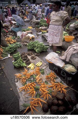 market, Dominica, Caribbean, Roseau, Caribbean Islands, Fresh produce for sale at a street market in downtown Roseau the capital of the island of Dominica. View Large Photo Image Stock Photograph - market, Dominica, Caribbean, Roseau, Caribbean Islands, Fresh produce for sale at a street market in downtown Roseau the capital of the island of Dominica.. Fotosearch