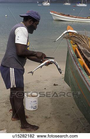 Martinique, Caribbean, Caribbean Islands, Local black fisherman cleaning fish on the beach next to a green fishing boat in Ste. Anne on the island of Martinique (a french department). View Large Photo Image Stock Image - Martinique, Caribbean, Caribbean Islands, Local black fisherman cleaning fish on the beach next to a green fishing boat in Ste. Anne on the island of Martinique (a french department).. Fotosearch