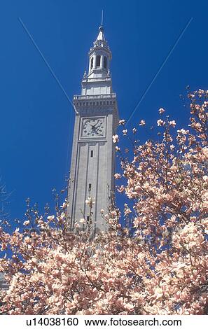 Massachusetts, Springfield, City Hall in downtown Springfield, Massachusetts in the spring. View Large Photo Image Stock Image - Massachusetts, Springfield, City Hall in downtown Springfield, Massachusetts in the spring.. Fotosearch