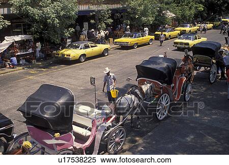 Mexico, Guadalajara, Horse drawn carriages and yellow taxis waiting for passengers, line the street downtown Guadalajara in the state of Jalsico. View Large Photo Image Stock Photography - Mexico, Guadalajara, Horse drawn carriages and yellow taxis waiting for passengers, line the street downtown Guadalajara in the state of Jalsico.. Fotosearch