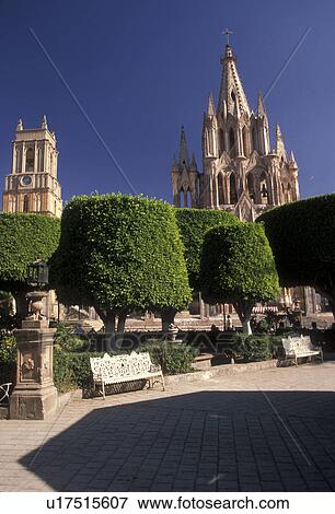 Stock Photo -  Mexico, San Miguel de Allende, Indian laurel trees shade the Central Plaza in San Miguel de Allende in the state of Guanajuato. Parich Church (La Parroquia) is seen in the background . Fotosearch
