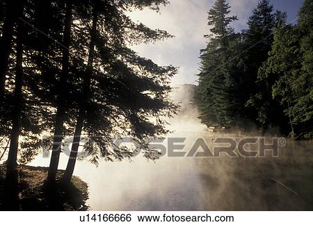 Stock Photograph -  mist, lake, Chattahoochee National Forest, North Georgia, Appalachian Mountains, Mist rises above the calm waters of Lake Winfield Scott in the early morning in the Chattahoochee Nat'l Forest in the state of Georgia. . Fotosearch