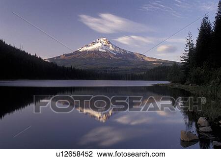 Stock Image -  Mount Hood, mirror, Oregon, Reflection of the snow covered Mt. Hood in the calm waters of Tillium Lake in Mount Hood National Forest in the state of Oregon. . Fotosearch