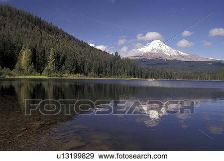 Mount Hood, Oregon, Reflection of the snow covered Mt. Hood in the calm waters of Tillium Lake in Mount Hood National Forest in the state of Oregon., View Large Photo Image Stock Photo - Mount Hood, Oregon, Reflection of the snow covered Mt. Hood in the calm waters of Tillium Lake in Mount Hood National Forest in the state of Oregon., . Fotosearch