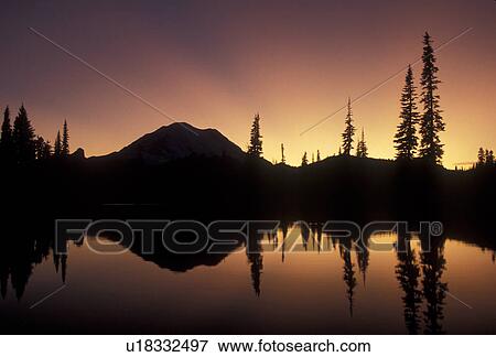 Mount Rainier, mirror, Mt. Rainier National Park, sunset, sunrise, Cascades, Cascade Range, Washington, Silhouette of Mt. Rainier at sunset reflecting in a mountain pond at Chinook Pass in the Cascade Mountain Range in Mount Rainier Nat'l Park in the sta View Large Photo Image Stock Photo - Mount Rainier, mirror, Mt. Rainier National Park, sunset, sunrise, Cascades, Cascade Range, Washington, Silhouette of Mt. Rainier at sunset reflecting in a mountain pond at Chinook Pass in the Cascade Mountain Range in Mount Rainier Nat'l Park in the sta. Fotosearch