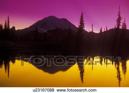 Mount Rainier, mirror, Mt. Rainier National Park, Cascades, Cascade Range, Washington, Silhouette of Mt. Rainier at sunset reflecting in a mountain pond at Chinook Pass in the Cascade Mountain Range in Mount Rainier Nat'l Park in the state of Washington. View Large Photo Image Stock Photo - Mount Rainier, mirror, Mt. Rainier National Park, Cascades, Cascade Range, Washington, Silhouette of Mt. Rainier at sunset reflecting in a mountain pond at Chinook Pass in the Cascade Mountain Range in Mount Rainier Nat'l Park in the state of Washington.. Fotosearch