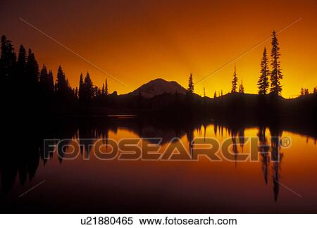 Stock Photography -  Mount Rainier, mirror, sunset, sunrise, Mt. Rainier National Park, Cascades, Cascade Range, Washington, Silhouette of Mt. Rainier at sunset reflecting in a mountain pond at Chinook Pass in the Cascade Mountain Range in Mount Rainier Nat'l Park in the sta. Fotosearch