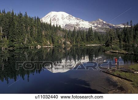 Mount Rainier, Mt. Rainier National Park, Cascades, Cascade Range, Washington, A woman hiker looks at the the snow covered Mt. Rainier reflecting in the calm waters of Snow Lake in the Cascade Mountain Range in Mount Rainier Nat'l Park in the state of Wa View Large Photo Image Stock Image - Mount Rainier, Mt. Rainier National Park, Cascades, Cascade Range, Washington, A woman hiker looks at the the snow covered Mt. Rainier reflecting in the calm waters of Snow Lake in the Cascade Mountain Range in Mount Rainier Nat'l Park in the state of Wa. Fotosearch