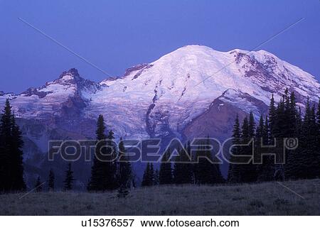 Mount Rainier, Mt. Rainier National Park, Cascades, Cascade Range, Washington, mountain, Spectacular view of the snow covered Mt. Rainier from Sunrise at sunrise in the Cascade Mountain Range in Mount Rainier Nat'l Park in the state of Washington. View Large Photo Image Stock Photo - Mount Rainier, Mt. Rainier National Park, Cascades, Cascade Range, Washington, mountain, Spectacular view of the snow covered Mt. Rainier from Sunrise at sunrise in the Cascade Mountain Range in Mount Rainier Nat'l Park in the state of Washington.. Fotosearch