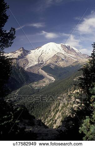 Stock Photo -  Mount Rainier, Mt. Rainier National Park, Cascades, Cascade Range, Washington, Spectacular view of Mt. Rainier fro Sunrise in the Cascade Mountain Range in Mount Rainier Nat'l Park in the state of Washington.. Fotosearch