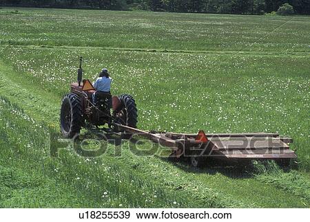 mow, farming, tractor, Vermont, VT, A farmer is mowing his field of tall grass with a tractor on a farm in Rochester in the spring. View Large Photo Image Stock Photo - mow, farming, tractor, Vermont, VT, A farmer is mowing his field of tall grass with a tractor on a farm in Rochester in the spring.. Fotosearch
