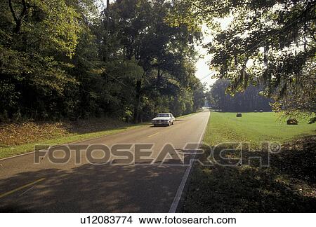 Picture -  Natchez Parkway, road, Mississippi, Scenic drive on the Natchez Trace Parkway in the state of Mississippi.. Fotosearch