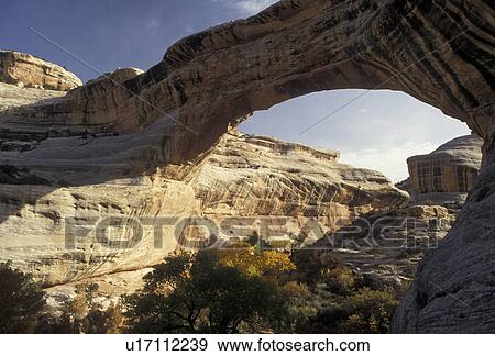 Natural Bridges, Natural Bridges National Monument, Utah, The Sipapu Bridge in Natural Bridges Nat'l Monument in the state of Utah. View Large Photo Image Stock Photo - Natural Bridges, Natural Bridges National Monument, Utah, The Sipapu Bridge in Natural Bridges Nat'l Monument in the state of Utah. . Fotosearch