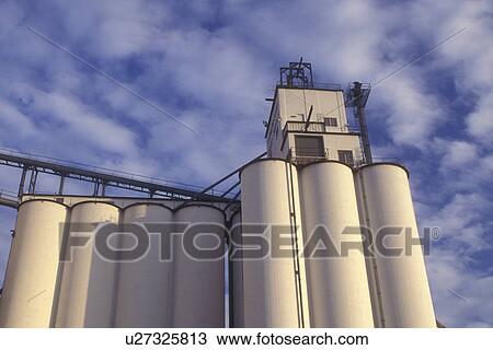 Nebraska, Grain is stored in an enormous white grain elevator in Minden. View Large Photo Image Stock Image - Nebraska, Grain is stored in an enormous white grain elevator in Minden.. Fotosearch