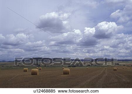 Stock Photography -  Nebraska, Hay bales are scattered in a field at Fort Robinson State Park in Crawford.. Fotosearch