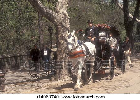 New York City, Central Park, horse-drawn carriage, Manhattan, New York, N. Y. C Carriage ride takes tourists around Central Park in Midtown Manhattan in New York City, New York. View Large Photo Image Stock Image - New York City, Central Park, horse-drawn carriage, Manhattan, New York, N. Y. C Carriage ride takes tourists around Central Park in Midtown Manhattan in New York City, New York. . Fotosearch