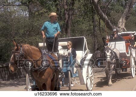 New York City, Central Park, horse-drawn carriage, Manhattan, New York, N. Y. C Carriage rides take tourists around Central Park in Midtown Manhattan in New York City, New York. View Large Photo Image Stock Photograph - New York City, Central Park, horse-drawn carriage, Manhattan, New York, N. Y. C Carriage rides take tourists around Central Park in Midtown Manhattan in New York City, New York. . Fotosearch
