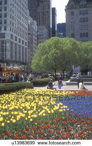 New York City, Manhattan, New York, N. Y. C Colorful spring flowers adorn Grand Army Plaza across from The Plaza Hotel in Midtown Manhattan in New York City, New York. View Large Photo Image Stock Photo - New York City, Manhattan, New York, N. Y. C Colorful spring flowers adorn Grand Army Plaza across from The Plaza Hotel in Midtown Manhattan in New York City, New York. . Fotosearch