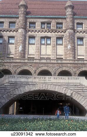 New York City, Museum, Manhattan, New York, N. Y. C American Museum of Natural History in Midtown Manhattan in New York City, New York. View Large Photo Image Stock Image - New York City, Museum, Manhattan, New York, N. Y. C American Museum of Natural History in Midtown Manhattan in New York City, New York. . Fotosearch