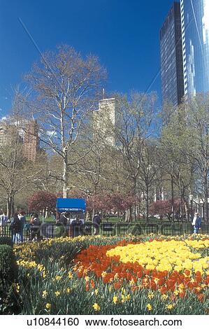 New York City, New York, Battery Park, Manhattan, N. Y. C Red and yellow tulips at Battery Park in Lower Manhattan in the spring in New York City, New York. View Large Photo Image Stock Image - New York City, New York, Battery Park, Manhattan, N. Y. C Red and yellow tulips at Battery Park in Lower Manhattan in the spring in New York City, New York.. Fotosearch