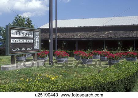 New York, Finger Lakes, Seneca Lake, Glenora Wine Cellars in Dundee. View Large Photo Image Stock Image - New York, Finger Lakes, Seneca Lake, Glenora Wine Cellars in Dundee.. Fotosearch