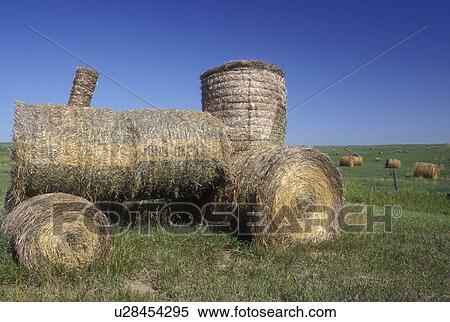 North Dakota, A hay bale display shaped like a tractor in a hay field. View Large Photo Image Stock Photography - North Dakota, A hay bale display shaped like a tractor in a hay field.. Fotosearch