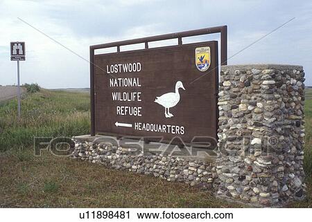 North Dakota, Entrance sign to Lostwood National Wildlife Refuge (entrance sign) in Kenmare. View Large Photo Image Stock Image - North Dakota, Entrance sign to Lostwood National Wildlife Refuge (entrance sign) in Kenmare.. Fotosearch