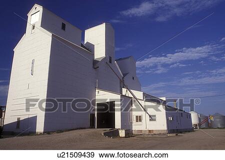 Stock Photo -  North Dakota, White grain elevator in New Town.. Fotosearch