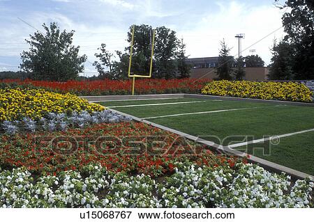 Ohio, Canton, football, hall of fame, A miniature football field and gardens at The Pro Football Hall of Fame in Canton. View Large Photo Image Stock Photo - Ohio, Canton, football, hall of fame, A miniature football field and gardens at The Pro Football Hall of Fame in Canton.. Fotosearch
