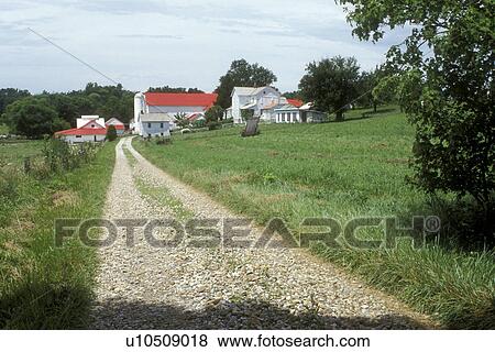 Ohio, Holmes County, amish, An Amish farm, white barn with red roof resides down a narrow dirt driveway in Holmes County. View Large Photo Image Stock Photo - Ohio, Holmes County, amish, An Amish farm, white barn with red roof resides down a narrow dirt driveway in Holmes County.. Fotosearch