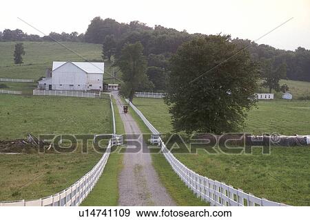 Stock Photo -  Ohio, Holmes County, amish, An Amish horse, buggy heads for a white barn down a narrow country road lined with white fences in Holmes County.. Fotosearch