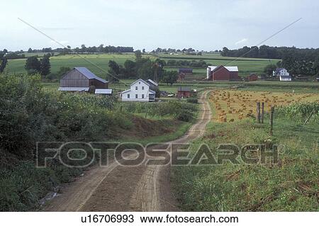 Stock Image -  Ohio, Holmes county, amish, farm, A Amish farm with a red barn down a winding dirt road in Holmes County. A golden wheat field is being harvested.. Fotosearch