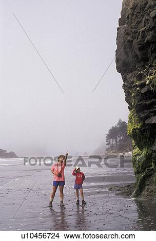Olympic National Park, beach, Ruby Beach, Washington, Olympic Peninsula, Mother and daughter (6 years old) look at rock formations on Ruby Beach in Olympic National Park in the state of Washington. View Large Photo Image Picture - Olympic National Park, beach, Ruby Beach, Washington, Olympic Peninsula, Mother and daughter (6 years old) look at rock formations on Ruby Beach in Olympic National Park in the state of Washington. . Fotosearch