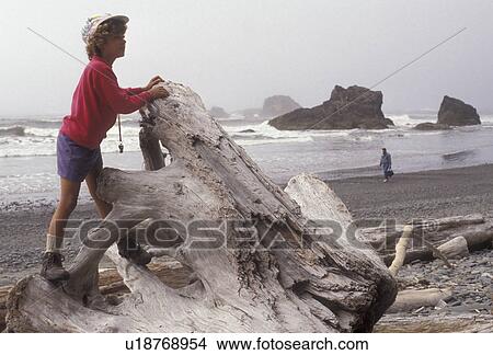 Picture -  Olympic National Park, beach, Ruby Beach, Washington, Olympic Peninsula, Young girl (6 years old) stands on old tree trunk on Ruby Beach in Olympic National Park in the state of Washington. . Fotosearch