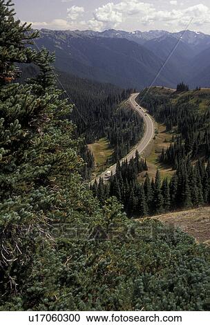 Olympic National Park, Hurricane Ridge Road, Washington, Olympic Peninsula, Hurricane Ridge Road winds through the mountainous terrain of Olympic National Park in the state of Washington. View Large Photo Image Stock Image - Olympic National Park, Hurricane Ridge Road, Washington, Olympic Peninsula, Hurricane Ridge Road winds through the mountainous terrain of Olympic National Park in the state of Washington. . Fotosearch