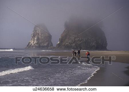 Olympic National Park, Pacific, Olympic Penninsula, fog, Washington, People walk along the foggy Second Beach near magnificent rock formations in Olympic National Park in the state of Washington. View Large Photo Image Stock Photo - Olympic National Park, Pacific, Olympic Penninsula, fog, Washington, People walk along the foggy Second Beach near magnificent rock formations in Olympic National Park in the state of Washington. . Fotosearch