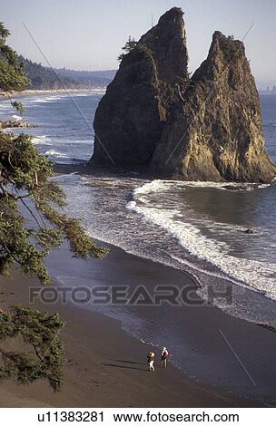 Olympic National Park, Rialto Beach, Washington, Olympic Peninsula, Pacific, Aerial view of the coastline and rock formations on Rialto Beach in Olympic National Park in the state of Washington. View Large Photo Image Stock Image - Olympic National Park, Rialto Beach, Washington, Olympic Peninsula, Pacific, Aerial view of the coastline and rock formations on Rialto Beach in Olympic National Park in the state of Washington. . Fotosearch