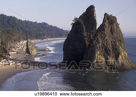Stock Image -  Olympic National Park, Rialto Beach, Pacific, Olympic peninsula, Washington, Rock formations on Rialto Beach in Olympic National Park in the state of Washington. . Fotosearch