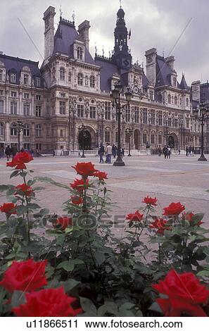 Paris, France, Europe, Hotel de Ville, Red roses adorn the grounds of the Hotel de Ville (City Hall) in Paris. View Large Photo Image Stock Image - Paris, France, Europe, Hotel de Ville, Red roses adorn the grounds of the Hotel de Ville (City Hall) in Paris.. Fotosearch