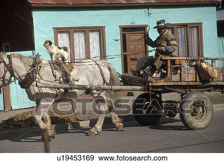 Patagonia, Chile, Dog on top of horse pulling a delivery cart through the streets of Puerto Natales in Chile View Large Photo Image Stock Photo - Patagonia, Chile, Dog on top of horse pulling a delivery cart through the streets of Puerto Natales in Chile . Fotosearch