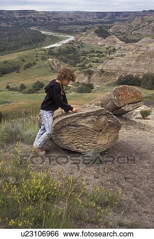 petrified wood, Theodore Roosevelt National Park, North Dakota, girl, North Unit, Young girl (6 years old) observes a large piece of petrified wood while hiking in Theodore Roosevelt National Park in the state of North Dakota. The Little Missouri River c View Large Photo Image Stock Photograph - petrified wood, Theodore Roosevelt National Park, North Dakota, girl, North Unit, Young girl (6 years old) observes a large piece of petrified wood while hiking in Theodore Roosevelt National Park in the state of North Dakota. The Little Missouri River c. Fotosearch