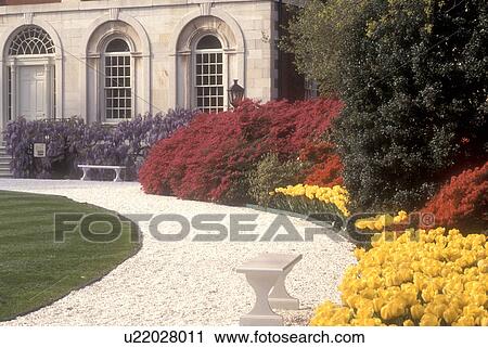 Philadelphia, Pennsylvania, Hospital, Yellow daffodils and red azaleas adorn the entrance to Pennsylvania Hospital in downtown Philadelphia, the first hospital in the United States. View Large Photo Image Stock Image - Philadelphia, Pennsylvania, Hospital, Yellow daffodils and red azaleas adorn the entrance to Pennsylvania Hospital in downtown Philadelphia, the first hospital in the United States. . Fotosearch