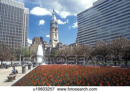 Philadelphia, Pennsylvania, The red tulips and fountain at Kennedy Plaza in downtown Philadelphia, Pennsylvania. City Hall in the background. View Large Photo Image Stock Photo - Philadelphia, Pennsylvania, The red tulips and fountain at Kennedy Plaza in downtown Philadelphia, Pennsylvania. City Hall in the background.. Fotosearch