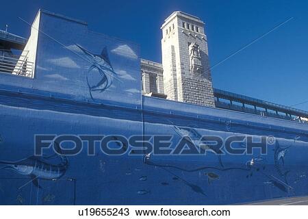Stock Image -  Philadelphia, whale, Pennsylvania, Whale Mural on a building wall in downtown Philadelphia, Pennsylvania.. Fotosearch
