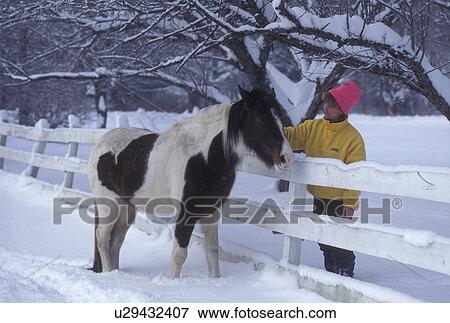 pony, winter, Vermont, A woman wearing a pink hat and yellow jacket pets a pinto pony over the fence in the snow on a winter day in Northfield Falls in Washington County in the state of Vermont. View Large Photo Image Stock Photo - pony, winter, Vermont, A woman wearing a pink hat and yellow jacket pets a pinto pony over the fence in the snow on a winter day in Northfield Falls in Washington County in the state of Vermont.. Fotosearch